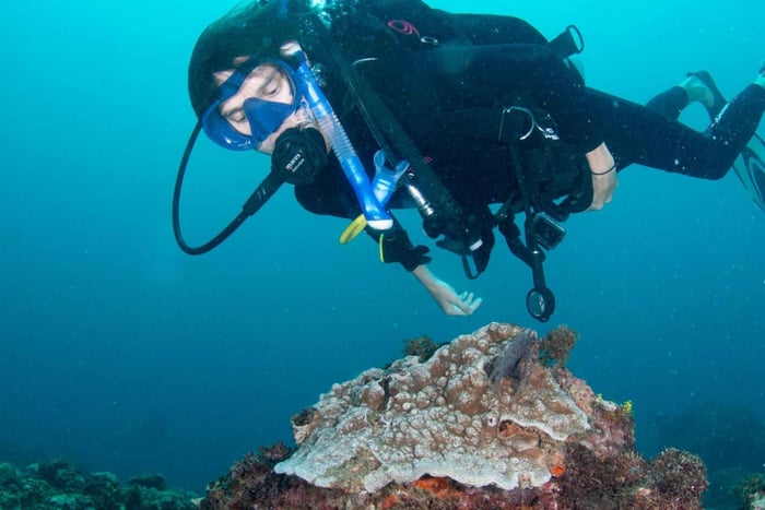 Diani: Advanced Open Water Diver Course
