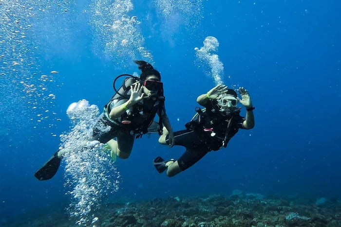 Diani Beach: Scuba Diving Experience with Hotel Transfers