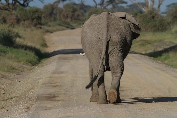 Discover Aberdare National Park and Lake Naivasha (2 days)