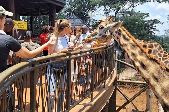 Elefanten-Waisenhaus, Giraffenzentrum und Bomas of Kenya