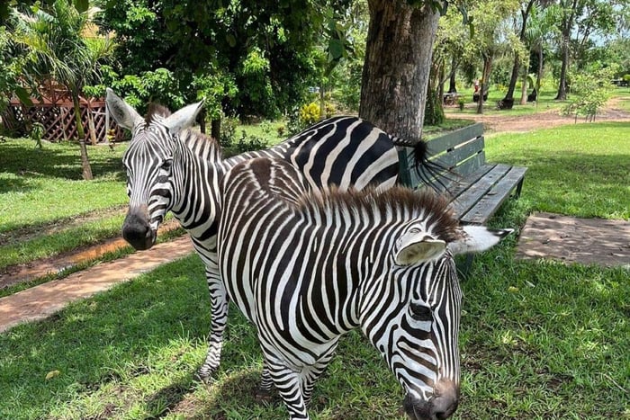 From Diani: Half day guided tour to Borabora Wildlife Park
