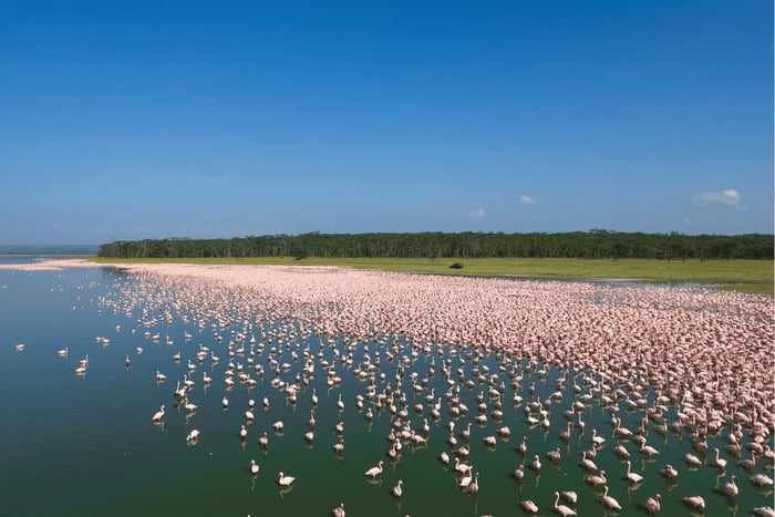 Vanuit Nairobi: tour naar het Lake Elementaita-kampeerterrein en warmwaterbronnen