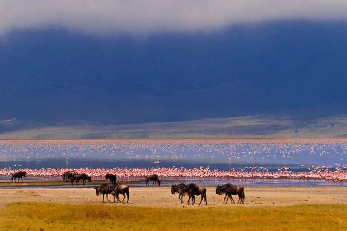 From Nairobi: Lake Magadi 2-Day Trip with Game Drive & Hike