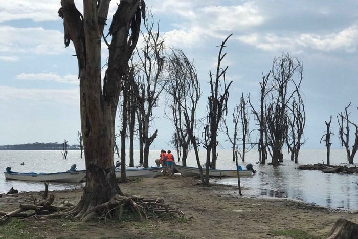 Desde Nairobi: tour por el pueblo de pescadores del lago Naivasha y paseo en barco