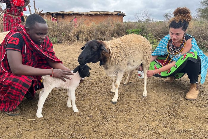 From Nairobi: Maasai Village Experience Day Tour