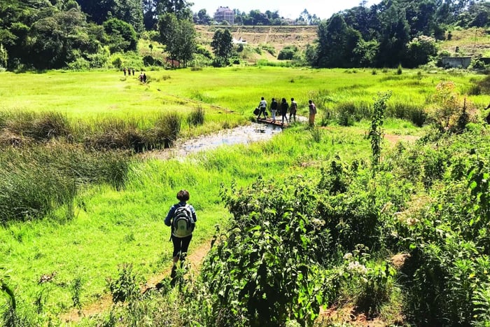 Desde Nairobi: tour a pie guiado por el humedal de Ondiri