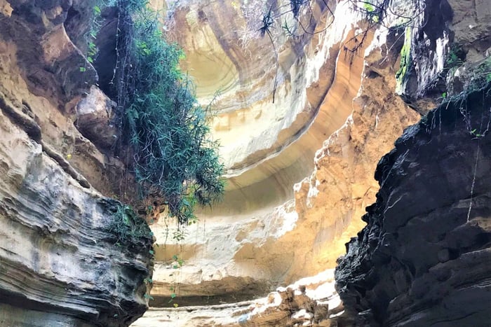 Hell’s Gate, Naivasha & Crescent Island Day Safari