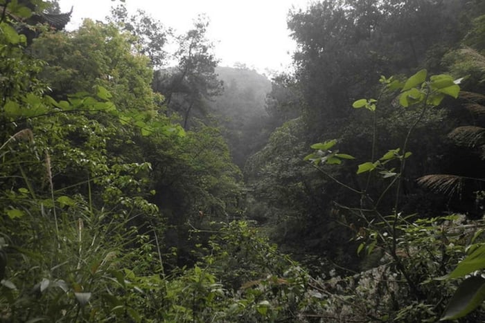 Historic, Natural Wonders: Zaina Falls & Mau Mau Cave Hike