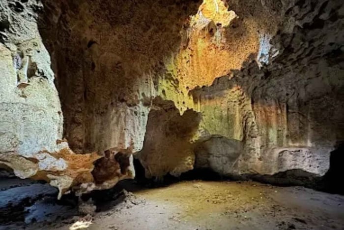 Kilifi: tour di più giorni a Lamu e alle grotte di Shimoni