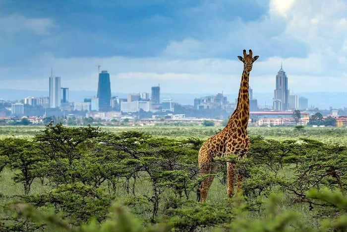 Maasai Mara Day Trip with Masai village breakfast