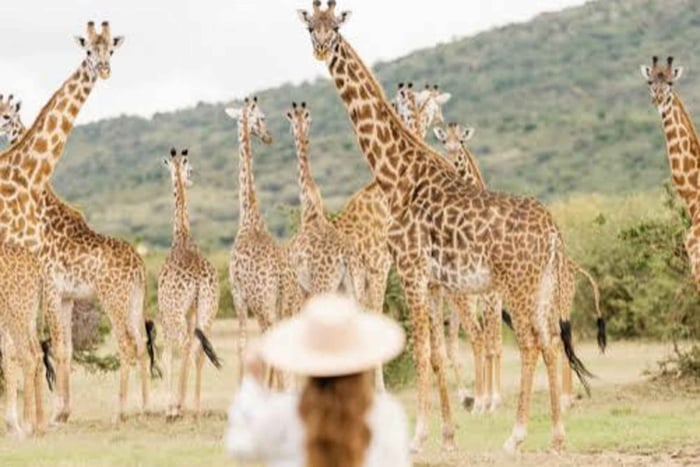 Maasai Mara Safari with Maasai Village Visit