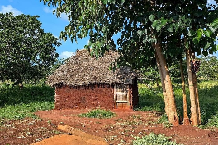 Malindi: Mijikenda Village Tour with Dance and Rituals