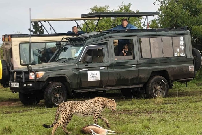 Nairobi: 3 päivän Masai Mara ryhmäsafari majoituksella