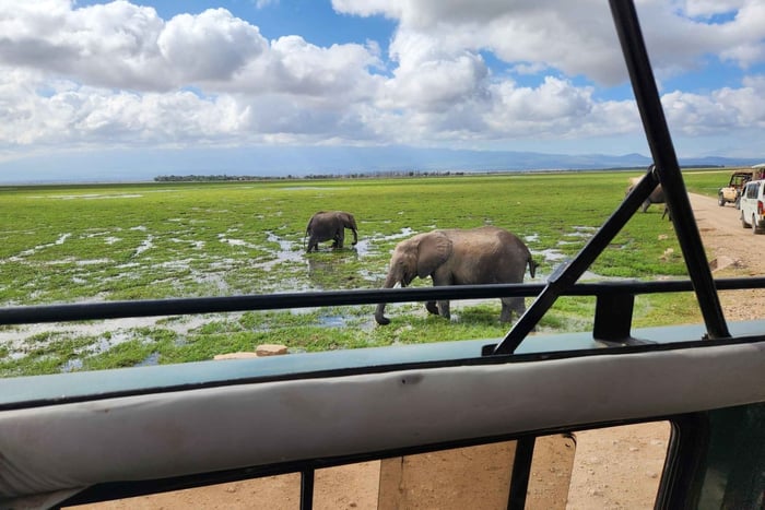 Nairobi : vol et safari dans le parc national d'Amboseli
