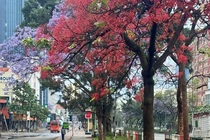 Nairobi: City view and cultural shopping experience
