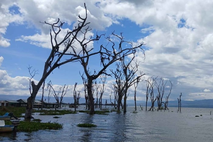 Nairobi: Hell's Gate & Lake Naivasha Day Trip with Boat Ride
