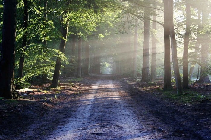 Nairobi: Karura Forest Guided Walking Tour