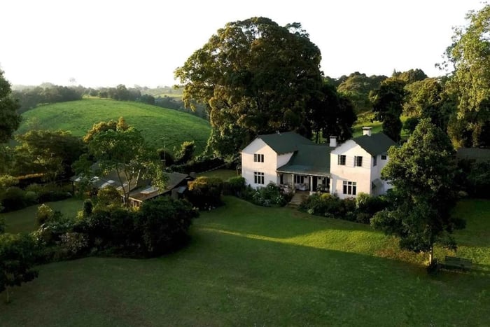 Nairobi: Kiambethu Tea Farm Tour & Tea Tasting Experience
