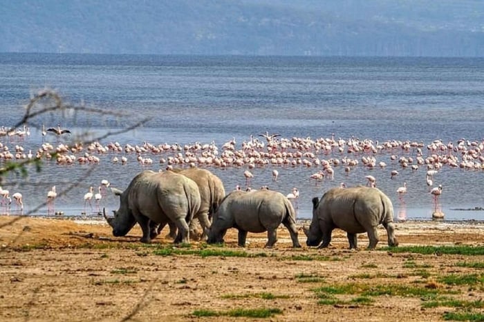 Nairobi: Lake Nakuru Park and Lake Naivasha Boat Ride
