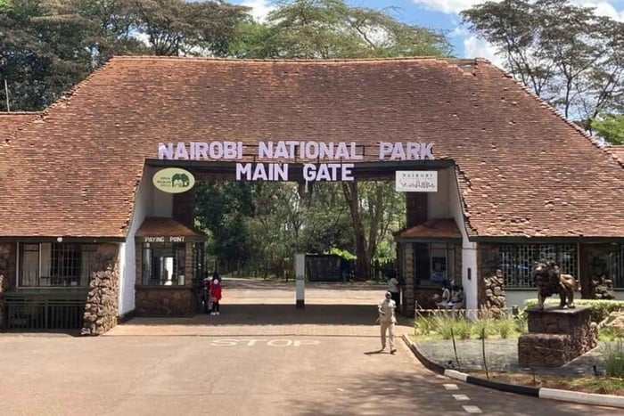 Nairobi: Ololua Ridge & Ngong Forest Guided Hike Tour