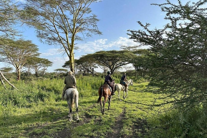 Nairobi: Sanctuary Horse Riding & Lake Naivasha Boat Ride