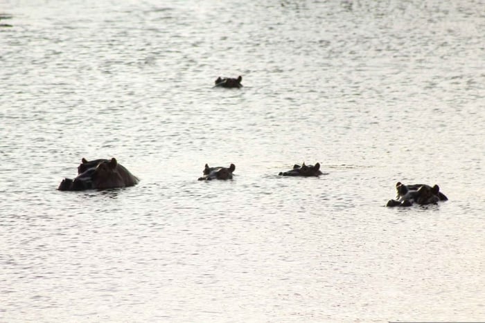 Naivasha: Hell’s Gate National Park & Geothermal Spa Tour