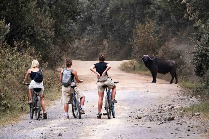 Naivasha: cykeltur i Hell's Gate + åktur med båt för att se flodhästar