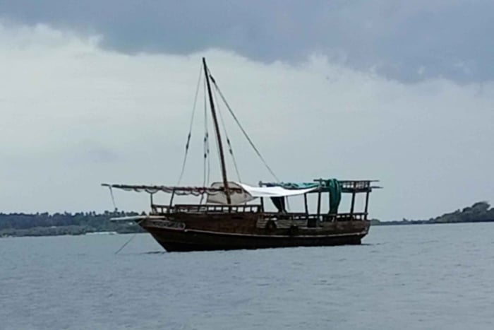 Private Sea Safari: Snorkelling & Dolphins from a Dhow