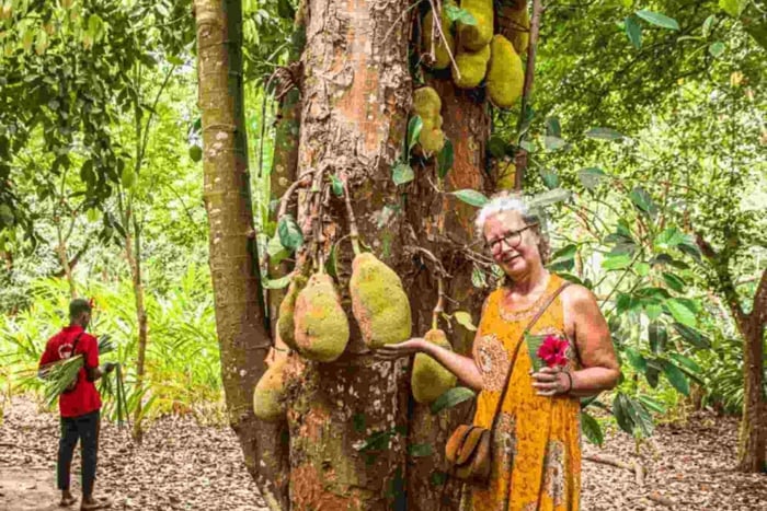 Stone Town & spice farm tour with cooking class & lunch