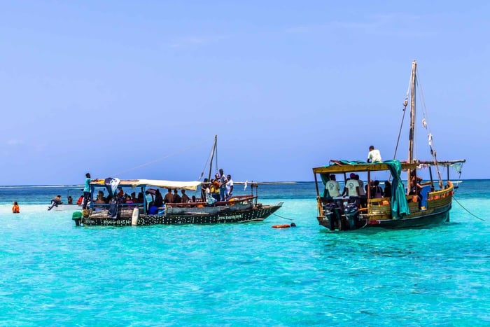 Isola Wasini: avvistamento di delfini e snorkeling a Kisite Mpunguti