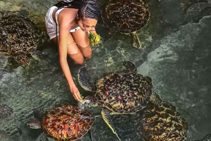 Zanzibar: Jozani Forest, Salaam Cave & Mtende Beach”