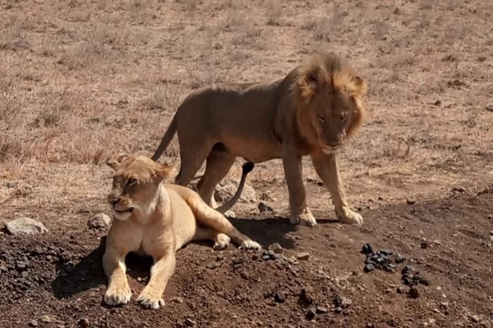 Overnight safari to Tsavo East from Mombasa / Diani Beach