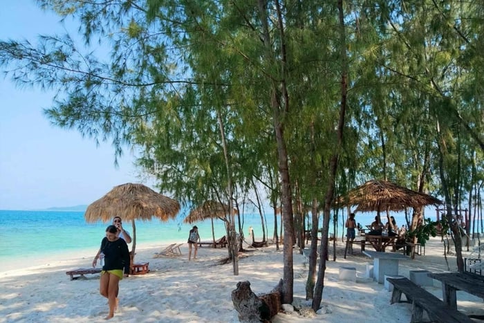 Koh Rap, Pig Island & Koh Tan Speed Boat Tour