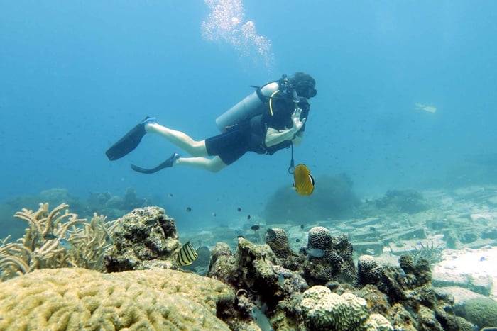Koh Samui: Jednodniowa wycieczka nurkowa w Sail Rock