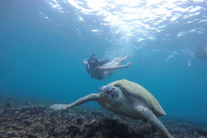 Koh Samui: Koh Tao & Koh Nang Yuan Snorkel Trip with Lunch