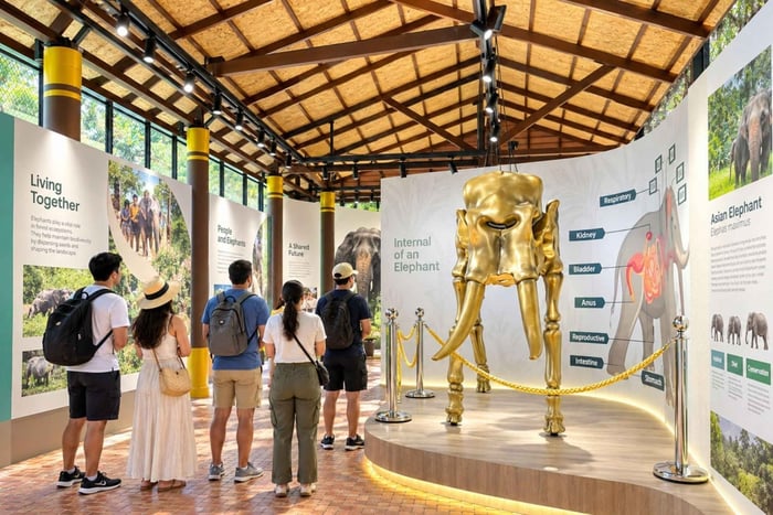 museo, paseo por la jungla y conservación con guía