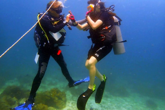 PADI Open Water Diver Course- Adventure Begins