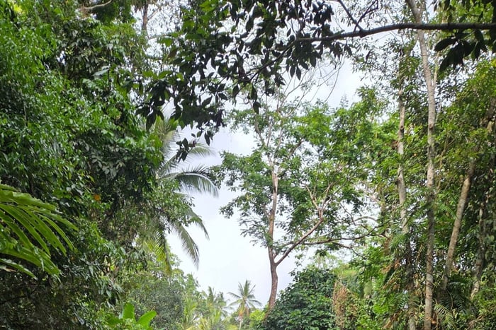 Surron-Utrabee-Offroad-Inseltour
