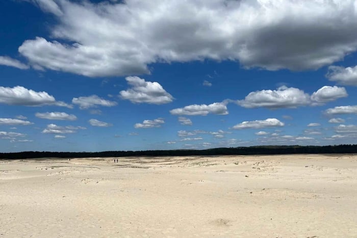Desert, Castles, and Polish Food Day Trip