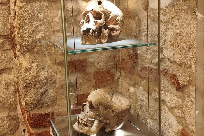 Discover Underground Krakow