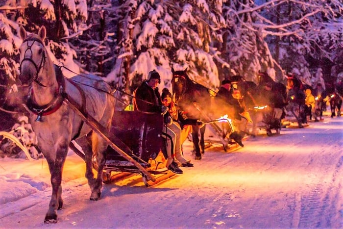 Fram Kraków: Tatra Mountain Sleigh Ride in Zakopane