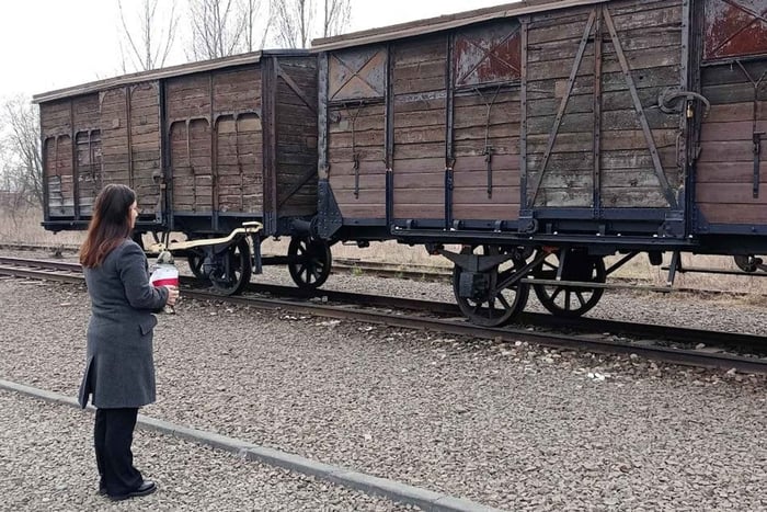 From Kracow: Auschwitz Complex Alternative Tour
