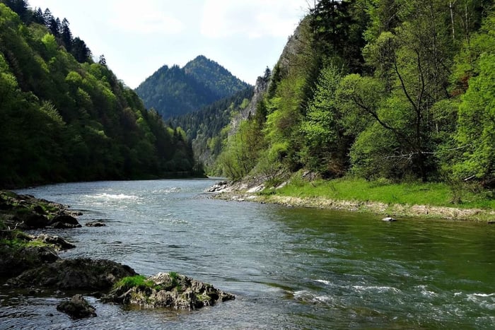 Krakow-regionen: Rafting i Dunajec-flodkløften – entrébillet