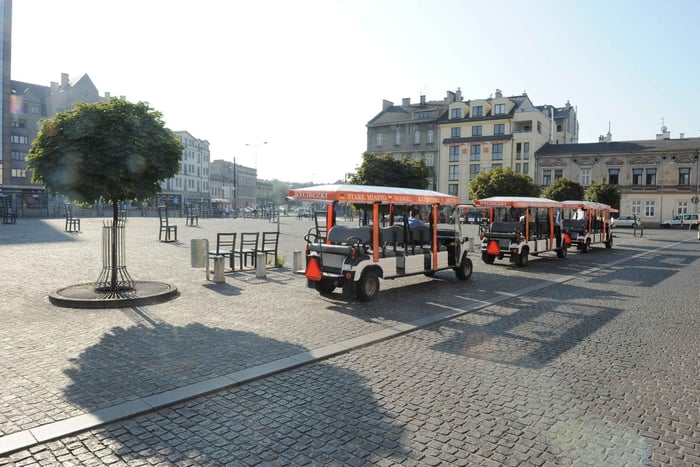 Private City Tour by Electric Car with Audio Guide