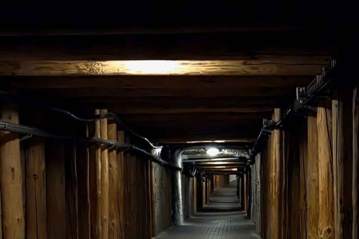 Private City Tour & Wieliczka Salt Mine Visit