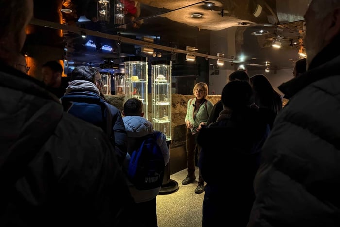 Rynek Underground Museum Guided Tour