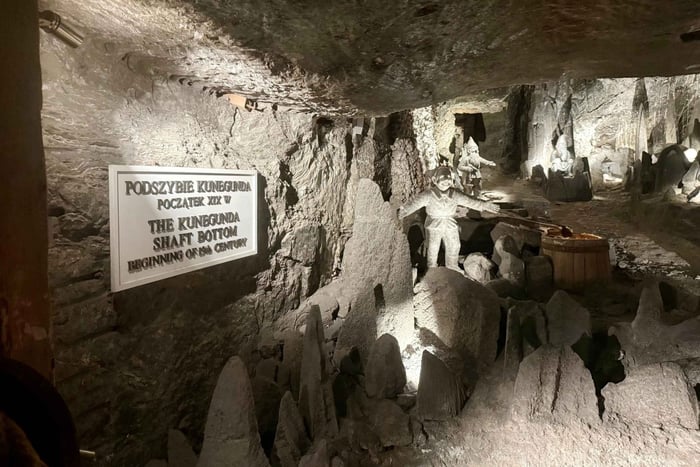 Wieliczka Salt Mine Tour with Private Transfer from Krakow