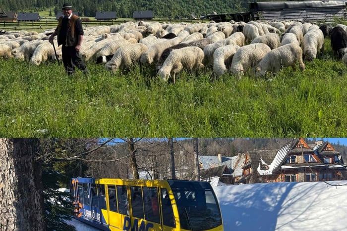 Cracovia: Zakopane, funicular de Gubałówka, queso y vodka