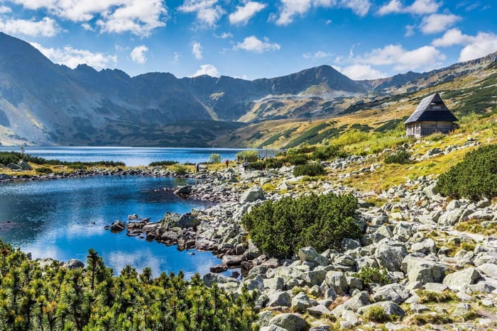Cracovia: Zakopane Tour privado con chófer
