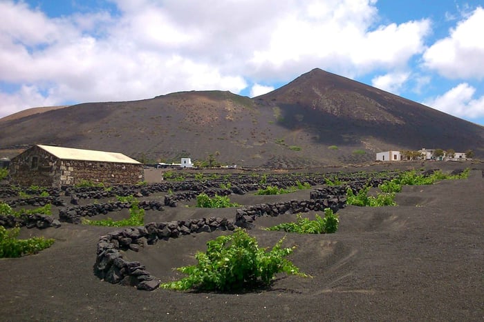 Lanzarote: La Geria Vineyards Hiking Tour